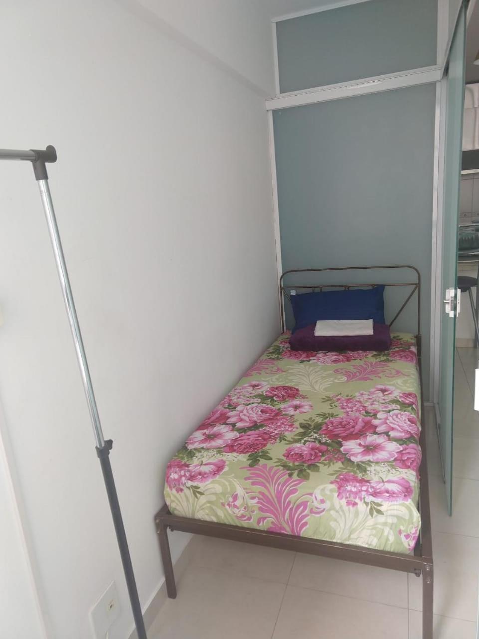 サンパウロBudget Flat Vila Madalenaアパートメント エクステリア 写真